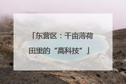 东营区：千亩薄荷田里的“高科技”