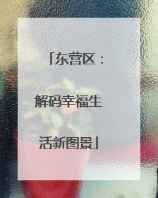 东营区：解码幸福生活新图景
