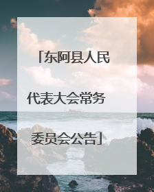 东阿县人民代表大会常务委员会公告
