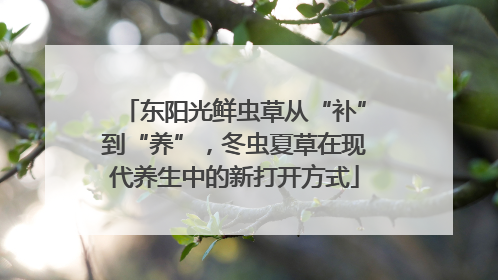 东阳光鲜虫草从“补”到“养”，冬虫夏草在现代养生中的新打开方式