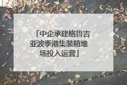 中企承建格鲁吉亚波季港集装箱堆场投入运营