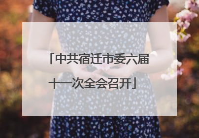 中共宿迁市委六届十一次全会召开