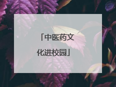 中医药文化进校园