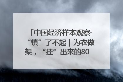 中国经济样本观察·“镇”了不起｜为衣做架，“挂”出来的80亿元“衣架产业”