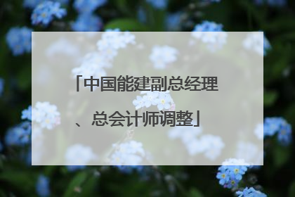 中国能建副总经理、总会计师调整