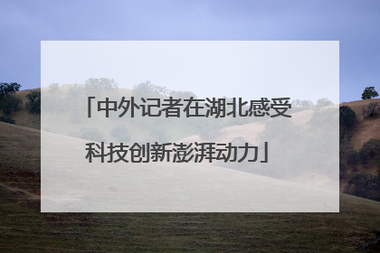 中外记者在湖北感受科技创新澎湃动力