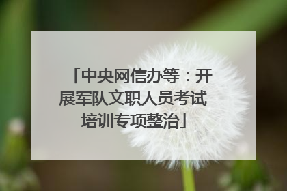 中央网信办等：开展军队文职人员考试培训专项整治