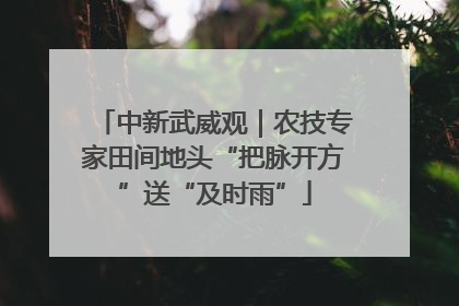 中新武威观｜农技专家田间地头“把脉开方”送“及时雨”