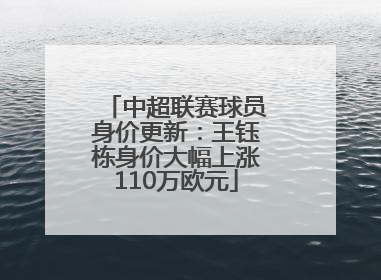中超联赛球员身价更新：王钰栋身价大幅上涨110万欧元