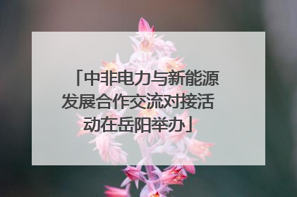 中非电力与新能源发展合作交流对接活动在岳阳举办