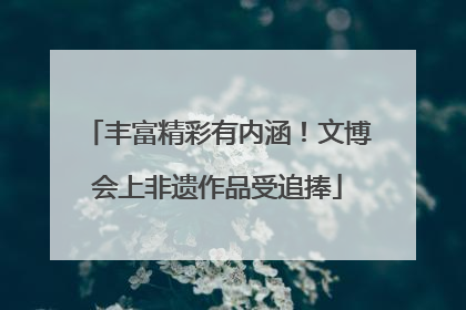 丰富精彩有内涵！文博会上非遗作品受追捧