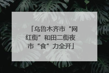乌鲁木齐市“网红街”和田二街夜市“食”力全开