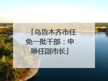 乌鲁木齐市任免一批干部：申琳任副市长