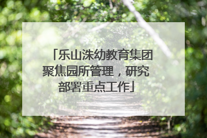 乐山洙幼教育集团聚焦园所管理，研究部署重点工作