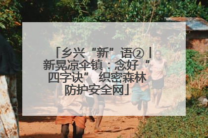 乡兴“新”语②丨新晃凉伞镇：念好“四字诀” 织密森林防护安全网