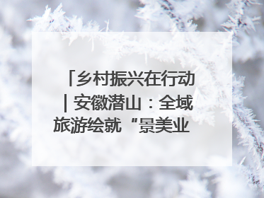 乡村振兴在行动｜安徽潜山：全域旅游绘就“景美业兴民富”新画卷