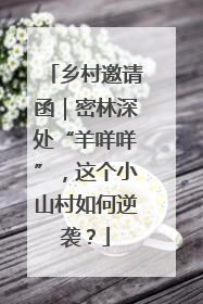 乡村邀请函｜密林深处“羊咩咩”，这个小山村如何逆袭？