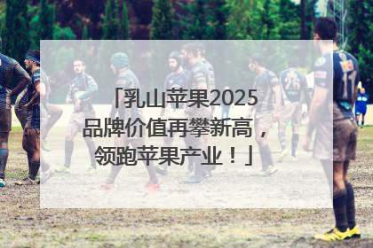 乳山苹果2025品牌价值再攀新高，领跑苹果产业！