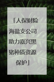 人保财险海盐支公司助力嘉兴黑猪种质资源保护