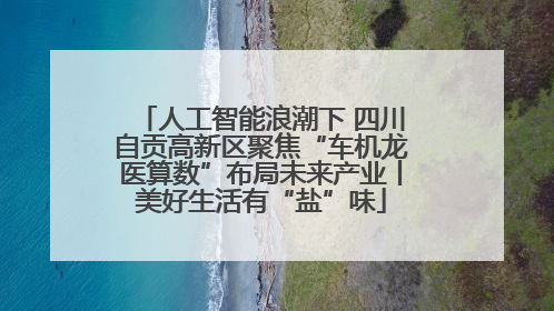 人工智能浪潮下 四川自贡高新区聚焦“车机龙医算数”布局未来产业丨美好生活有“盐”味