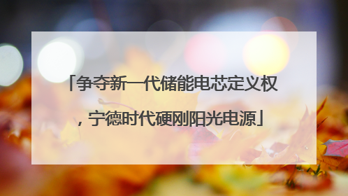 争夺新一代储能电芯定义权，宁德时代硬刚阳光电源