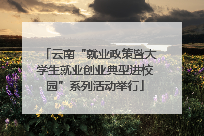 云南“就业政策暨大学生就业创业典型进校园”系列活动举行