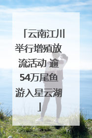 云南江川举行增殖放流活动 逾54万尾鱼游入星云湖