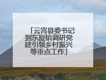 云霄县委书记到东厦镇调研党建引领乡村振兴等重点工作