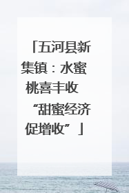 五河县新集镇：水蜜桃喜丰收 “甜蜜经济促增收”