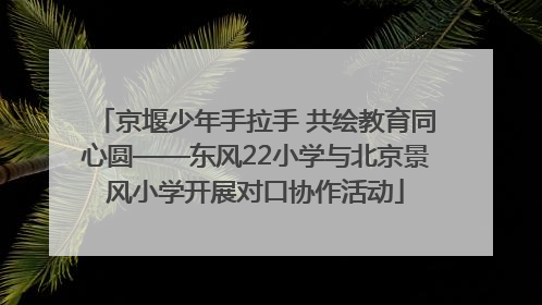 京堰少年手拉手 共绘教育同心圆——东风22小学与北京景风小学开展对口协作活动