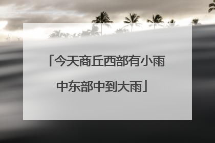 今天商丘西部有小雨 中东部中到大雨