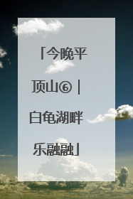 今晚平顶山⑥｜白龟湖畔乐融融