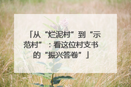 从“烂泥村”到“示范村”：看这位村支书的“振兴答卷”