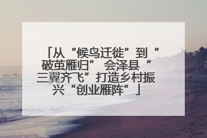 从“候鸟迁徙”到“破茧雁归” 会泽县“三翼齐飞”打造乡村振兴“创业雁阵”