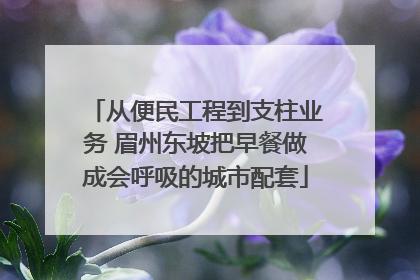 从便民工程到支柱业务 眉州东坡把早餐做成会呼吸的城市配套