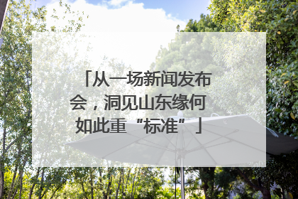 从一场新闻发布会，洞见山东缘何如此重“标准”
