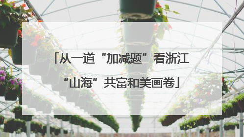 从一道“加减题”看浙江“山海”共富和美画卷