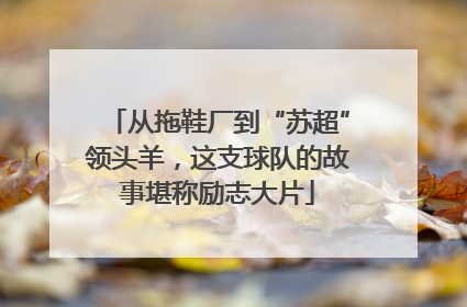 从拖鞋厂到“苏超”领头羊，这支球队的故事堪称励志大片