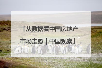 从数据看中国房地产市场走势｜中国观察