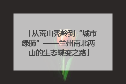 从荒山秃岭到“城市绿肺”——兰州南北两山的生态蝶变之路