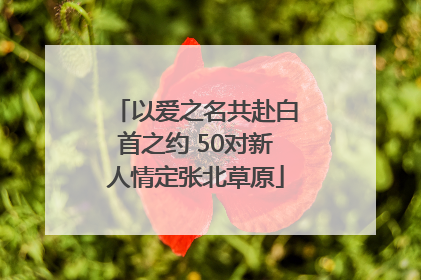 以爱之名共赴白首之约 50对新人情定张北草原