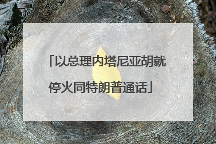 以总理内塔尼亚胡就停火同特朗普通话