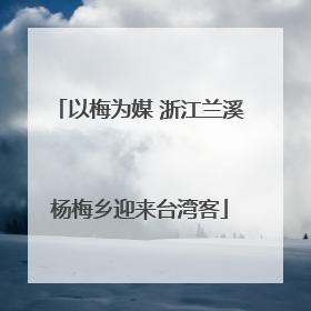 以梅为媒 浙江兰溪杨梅乡迎来台湾客