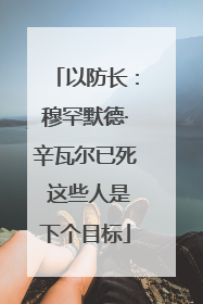 以防长：穆罕默德·辛瓦尔已死 这些人是下个目标
