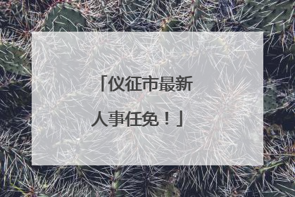 仪征市最新人事任免！