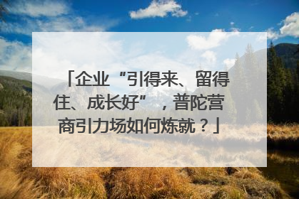 企业“引得来、留得住、成长好”，普陀营商引力场如何炼就？
