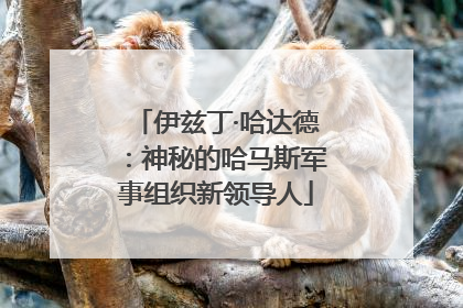 伊兹丁·哈达德：神秘的哈马斯军事组织新领导人