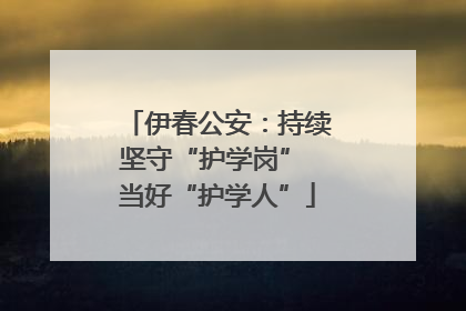 伊春公安：持续坚守“护学岗” 当好“护学人”
