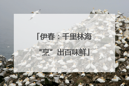 伊春：千里林海“烹”出百味鲜