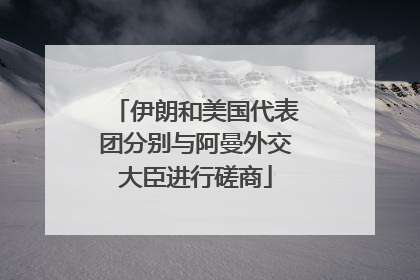 伊朗和美国代表团分别与阿曼外交大臣进行磋商
